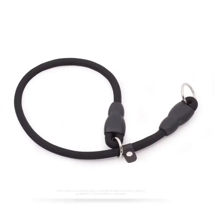 Collier en Nylon pour animaux de compagnie, chaîne P, accessoires d'entraînement pour chiens, Teddy 