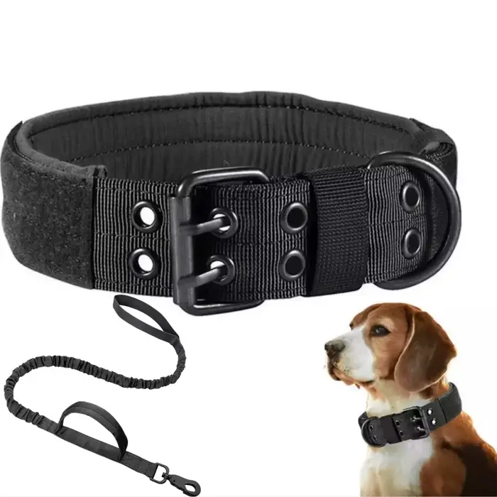 Collier tactique réglable pour chien