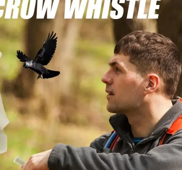 Appel d'oiseaux pour chasse - Sifflet portable avec sons réalistes pour attirer canards et gibier