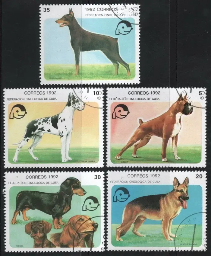 Timbres-poste des Caraïbes, 1992 animaux de compagnie, chiens rares, timbres-poste marqués pour la c
