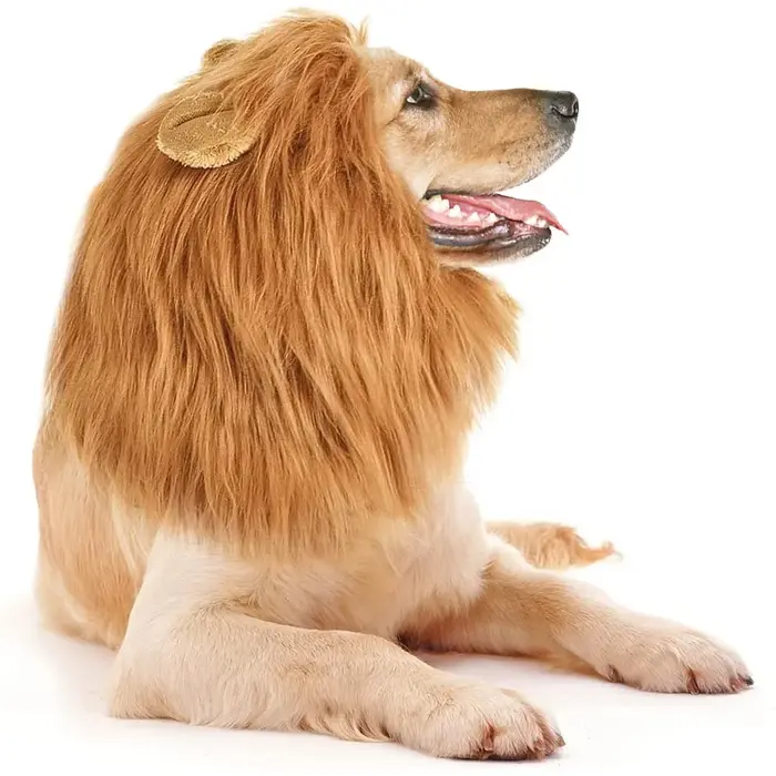 Grands oreilles de chien, accessoires pour animaux de compagnie, Costumes de jeu de rôle pour chien 