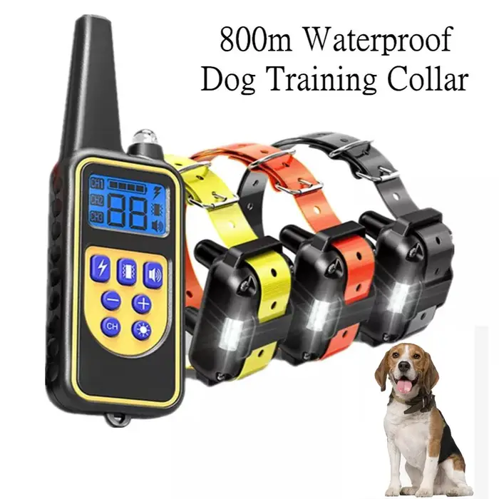 Collier de dressage électrique pour chien
