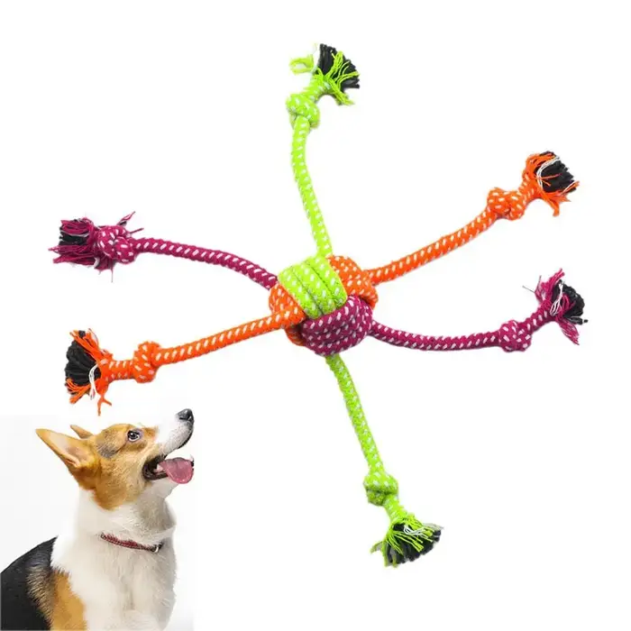 Jouet à nœud interactif Durable et résistant aux morsures pour chiens, corde à croquer avec franges 