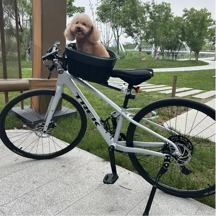 Mir de vélo pour animaux de compagnie, vélo de route de montagne avec sac pour chien et chat, dégage