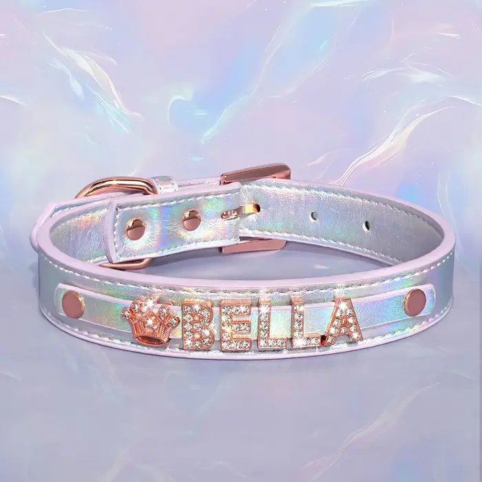Collier personnalisé pour chien