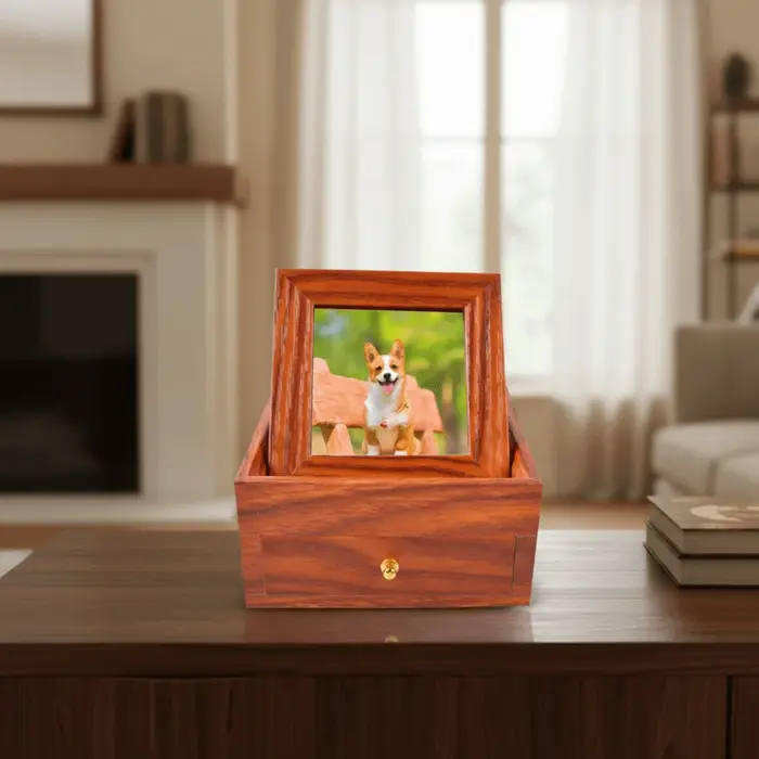 Boîte de rangement pour cendres d'animaux en bois