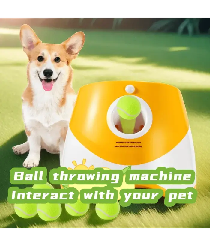 Lanceur automatique pour chiens