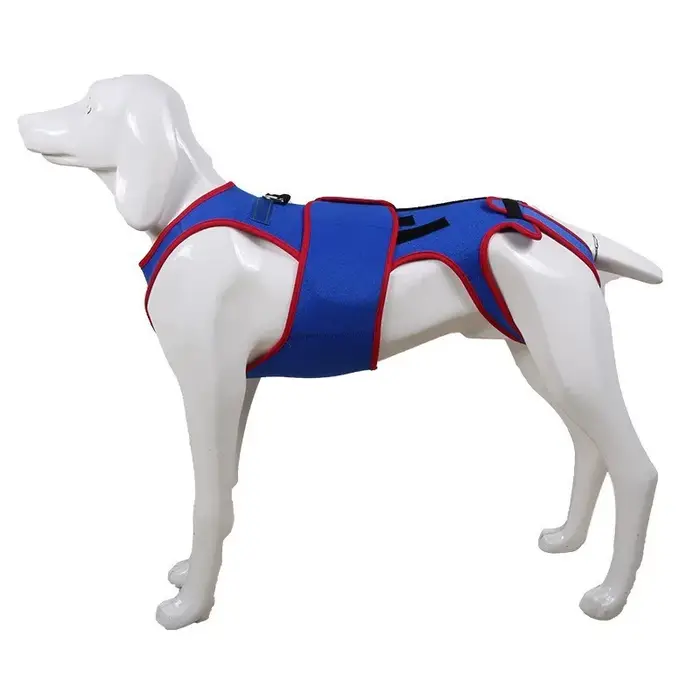 Vêtements pour soulager la douleur des chiens, soutien dorsal pour chiots atteints d'arthrite et de 