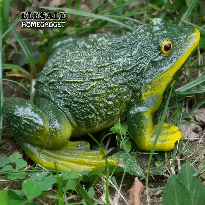 Statue de grenouille décorative en résine, bonsaï d'extérieur, sculpture animale pour bureau, décor 