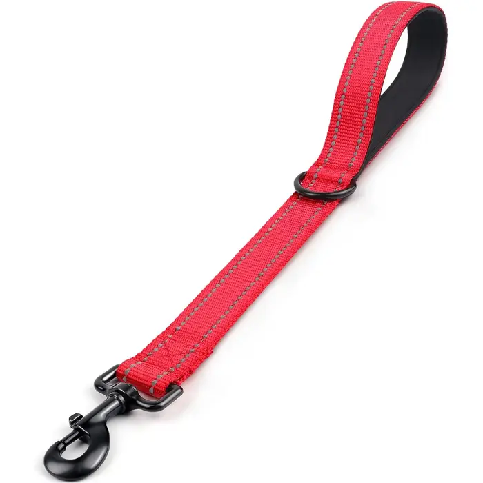 Laisse courte pour chien, poignée rembourrée pour la circulation, laisse courte en Nylon robuste pou