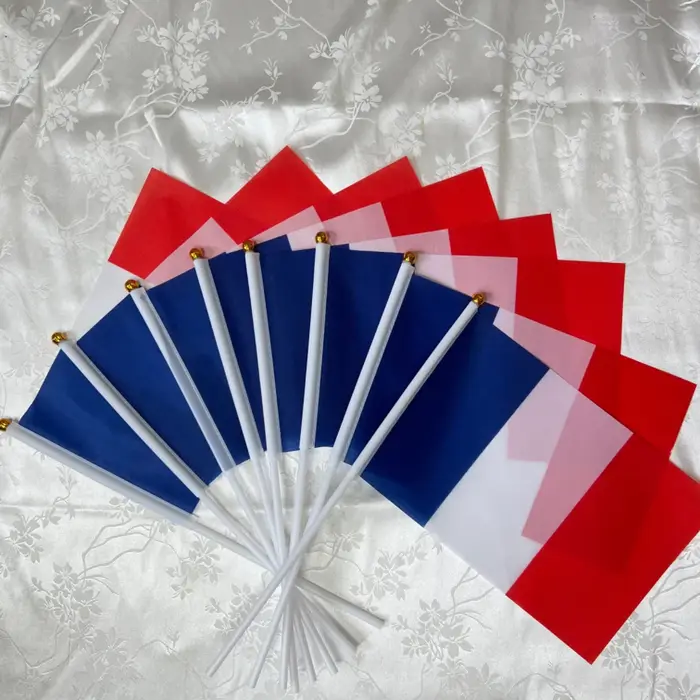 Drapeau à main de la France 14 x 21 cm