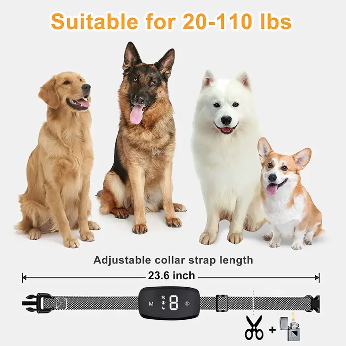 Collier anti-aboiement intelligent pour chiens de grande