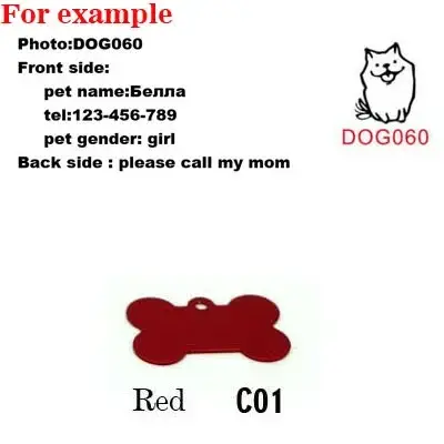 Lot de 2 étiquettes d'identification pour collier de chien et chat, accessoire en forme de Sophia po