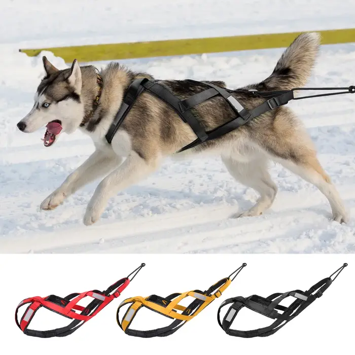 Traîneau à traction SFP étanche pour grands chiens Husky