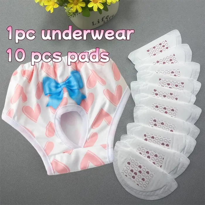 Culottes lavables pour chiennes avec 10 coussinets absorbants pour chiots