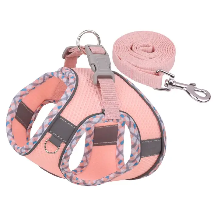 Harnais et laisse pour chien pour la promenade en extérieur, pour chiens de petite et moyenne taille