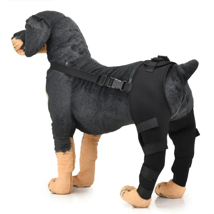 Genouillères pour chiots de compagnie, attelles arrière pour chiens blessés, attelle de soutien pour
