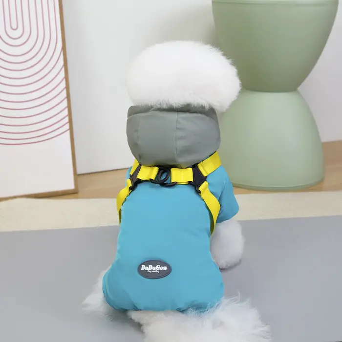 Vêtements pour chien automne-hiver, nouvelle collection, vêtements pour animaux de compagnie Teddy, 
