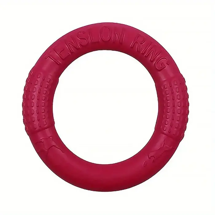 Jouets d'entraînement pour chiens, sport de plein air, disque volant, jouet coule pour animaux de co
