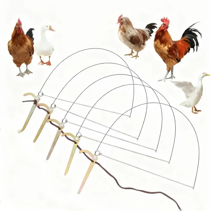 Piège professionnel pour oiseaux poulet faisan canard sauvage perdrix colvert - Équipement de ligature des pattes