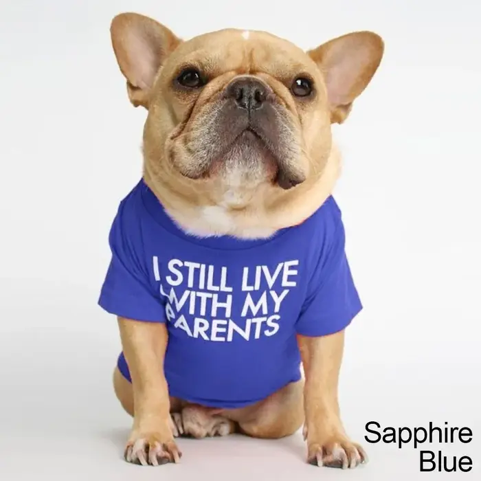 Vêtements d'été et de printemps pour chiens, vêtements respirants de qualité pour animaux de compagn