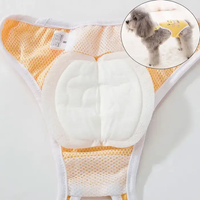 30 pièces couche-culotte pour chien pour femme