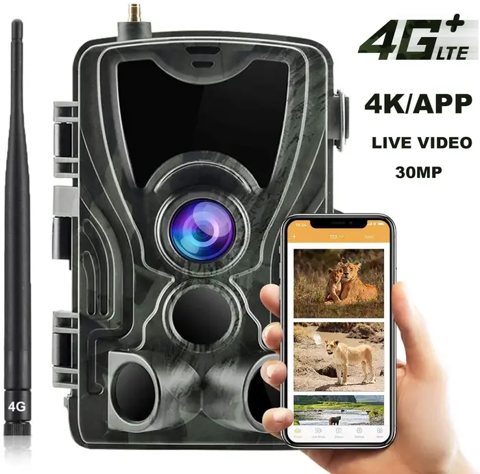 Caméra de chasse 4G avec service cloud gratuit, diffusion en direct 4K, surveillance de la faune, ca