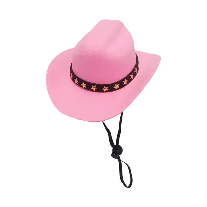 Chapeau de Cowboy pour chien, Costume amusant, chapeau de Cosplay, automne et hiver pour petits chie