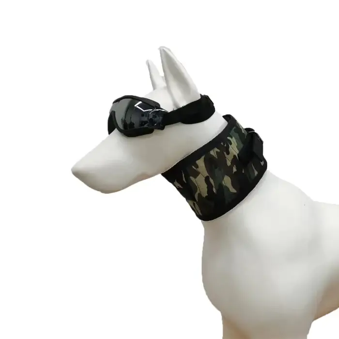 Protège-cou en forme de sanglier pour chien de chasse