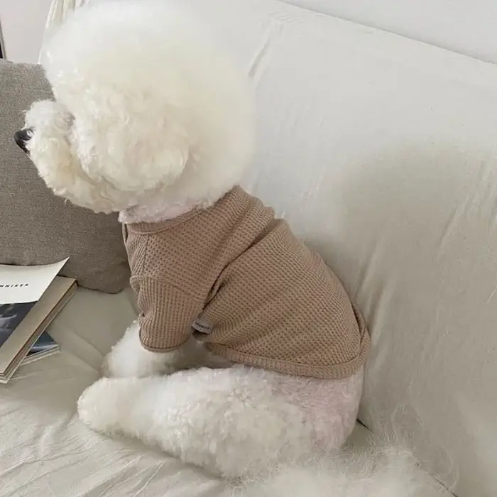 Chemise douce pour chien, vêtements pour chien, mignon, solide, chiot, bas, mode, chat, glaPet, mail