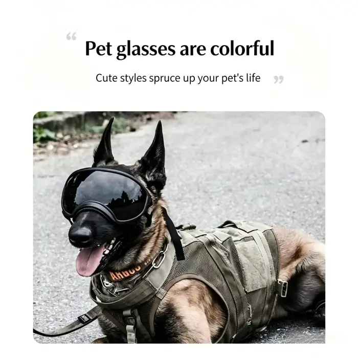 Lunettes de soleil pour chien protection UV incassables et coupe-vent pour animaux de compagnie sangle réglable pour toutes les races sports de plein air