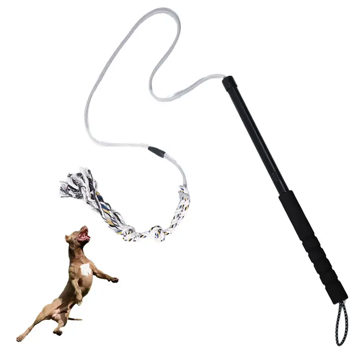 Poteau de flirt pour chiens, jouets interactifs pour chiens, Durable et robuste, adapté aux chiens d