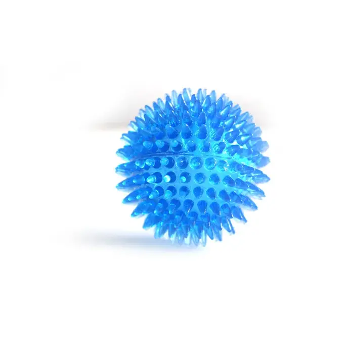 Jouet sonore durable en TPR pour chien et chat, balle à picots à pois, pour le nettoyage des dents e
