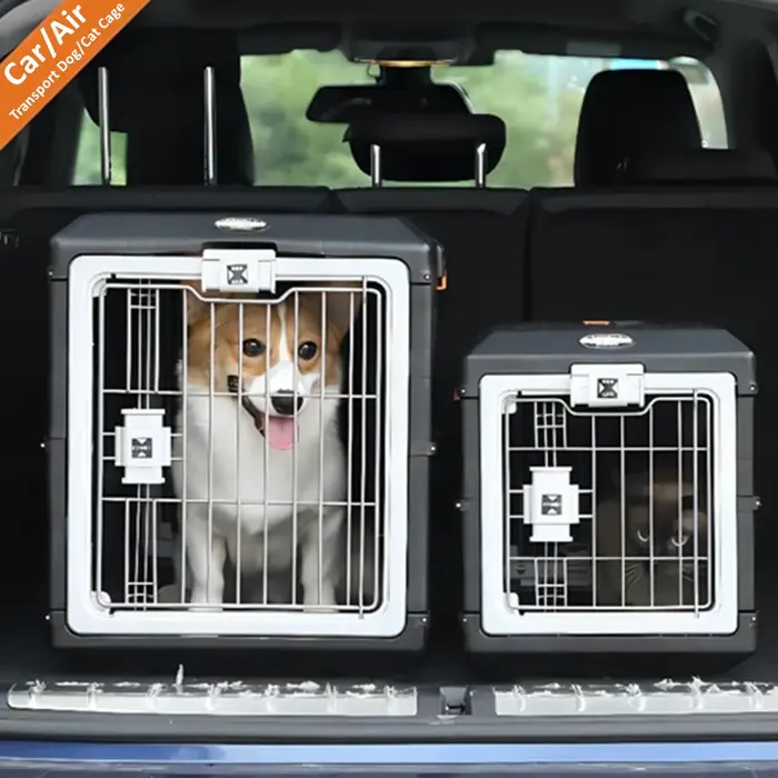 ALWAYSME-Voiture, Transport aérien, Chien, Chat