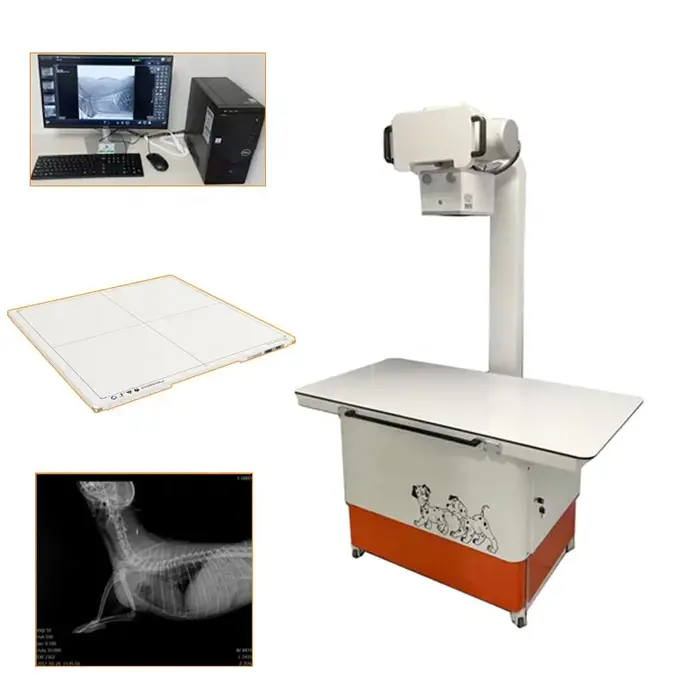Chien chat animal de compagnie X Ray médical Animal radiographie équipement vétérinaire rayons X vét