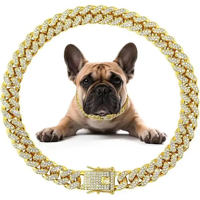 Collier en diamant pour chien, chaîne de marche en métal avec boucle sécurisée, collier de Style cub