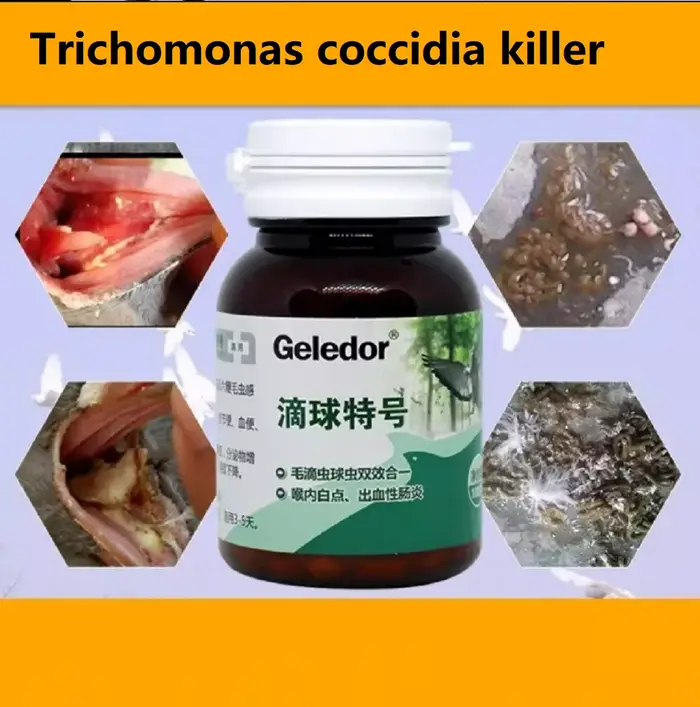 Traitement Trichomonas et Coccidia pour Chiens 100 Comprimés Solution Infections Digestives Occasions Spéciales