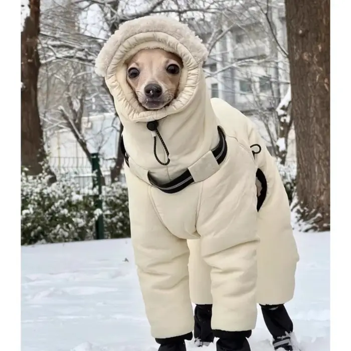 Vêtements d'hiver pour grands chiens