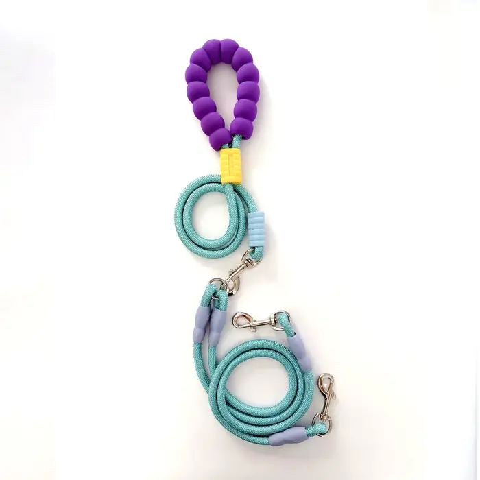 Laisse double pour chien avec élastique