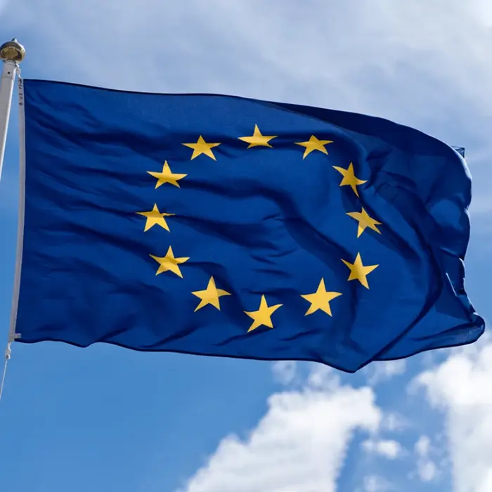 Euro Feel of Europe Super-Polyester Emblem of the Council, 90x150cm