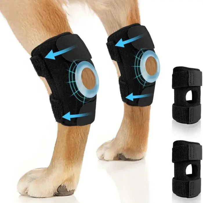 Attelle de protection pour articulation du genou et du pied de chien, soutien pour la récupération d