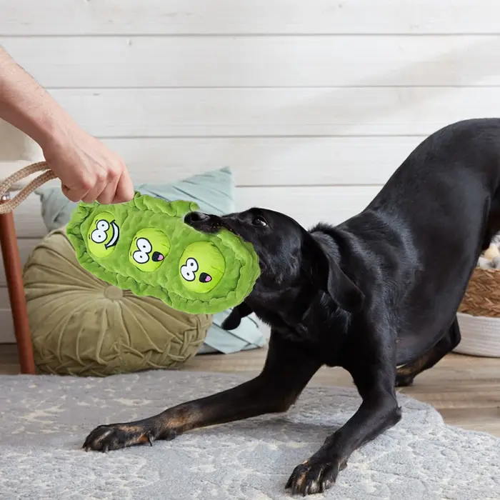 Jouets cachés pour chiens de compagnie