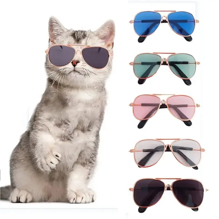 Lunettes de soleil pour chats et petits chiens