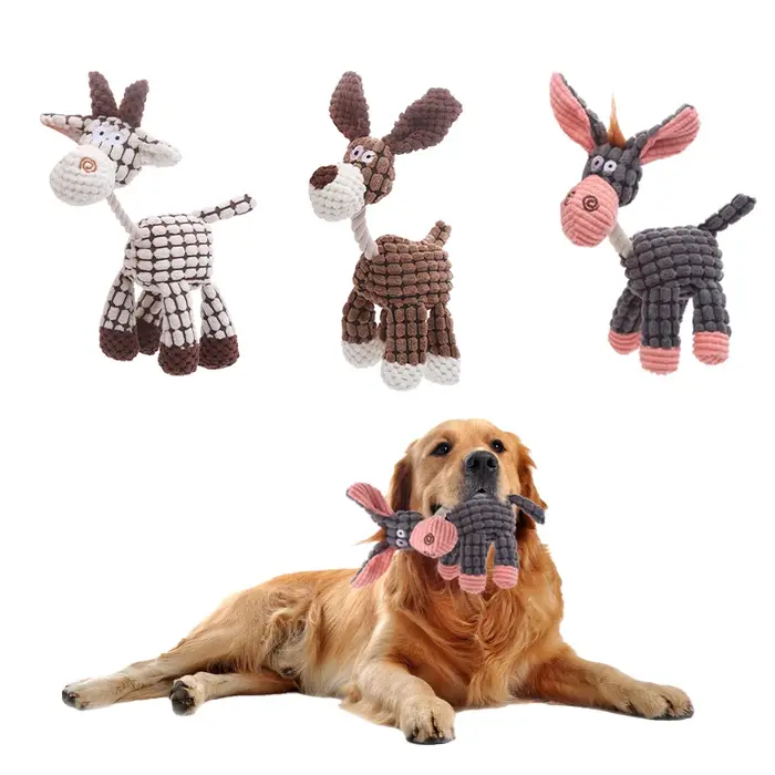 Jouet en peluche pour chien