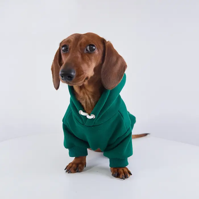 Veste polaire à capuche pour chiens de race Wiener, manteau chaud et épais pour chiens de race Badge