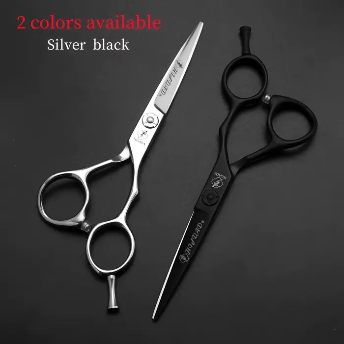 HISADA ciseaux de coiffeur 5.5 pouces ciseaux de coiffure professionnels japonais à la main VG10 mat