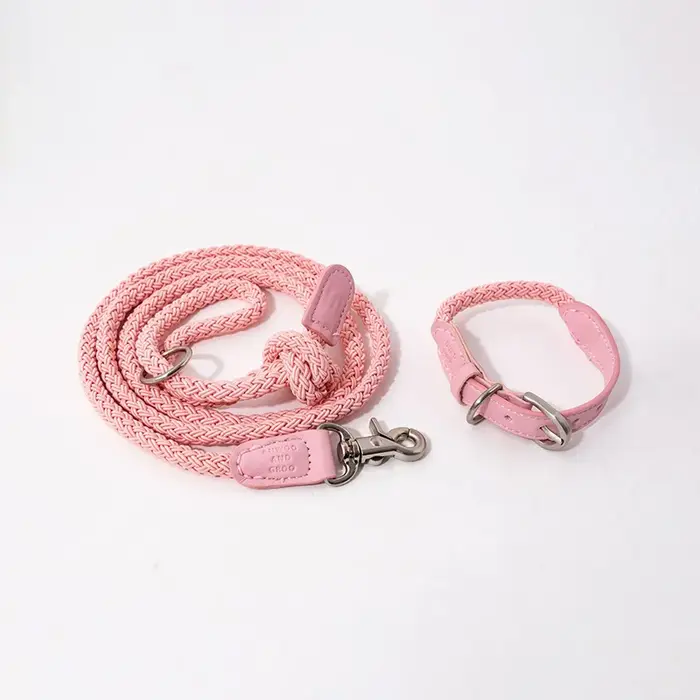 Ensemble collier et laisse pour chien tressé en cuir, pour Bichon Frise et petits animaux de compagn