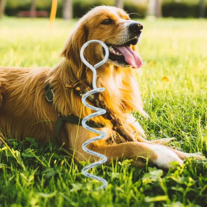 Piquets RapDuty pour grands chiens, câble et laisse en métal, clôture en fer, sol extérieur