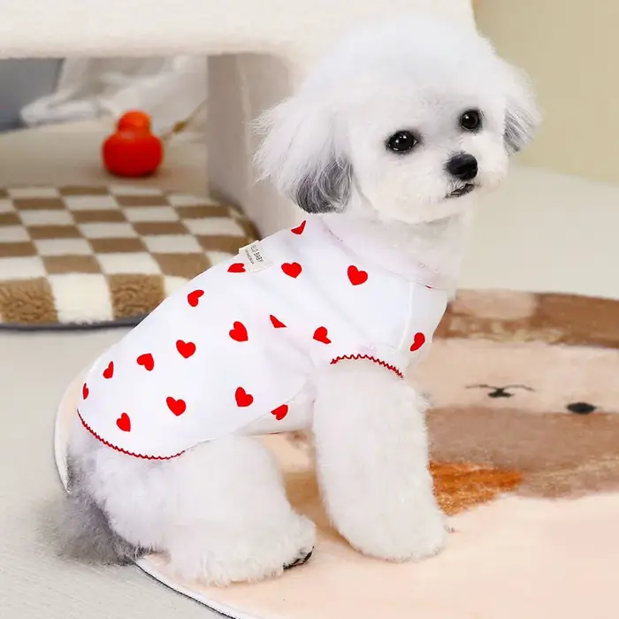 Vêtements pour chien à motif cœur rouge
