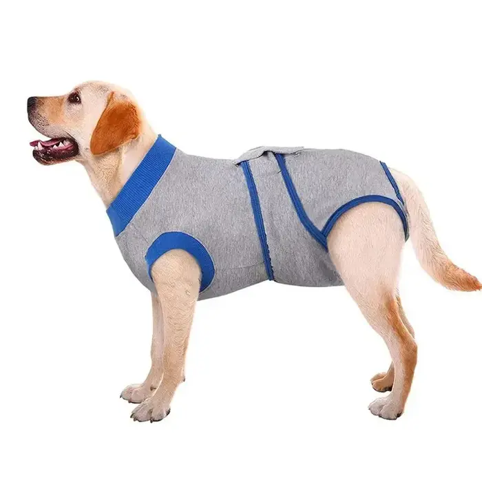 Combinaison de récupération pour chiens après chirurgie, combinaison respirante et douce pour chien,